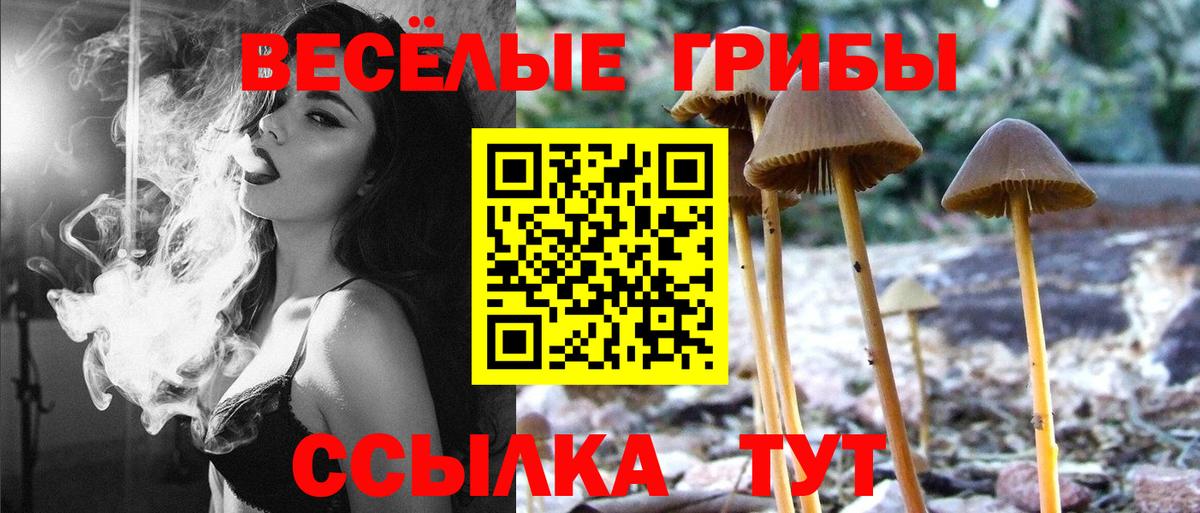 где найти наркотики  Галлюциногенные грибы мицелий  Вход с VPN  Гуково  Галлюциногенные грибы Cubensis 